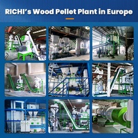 Ligne de production de granulés de bois professionnelle RICHI UK, très demandée, pour résidus de scierie, 30 TPH