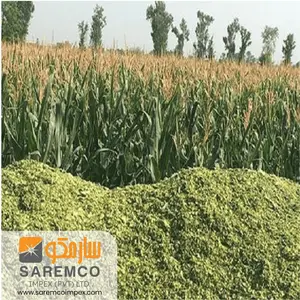高蛋白玉米玉米芯干草包，用于出口巴基斯坦优质玉米青贮牛饲喂包