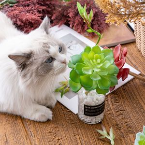 Plante succulente artificielle CallaFloral, branche unique en PVC souple, rouge automnal, blanc, vert frais, décoration de mariage INS - Product Image 2