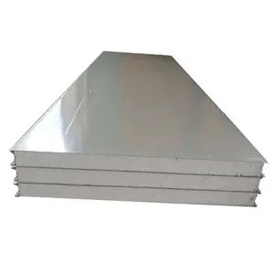 Biaya Rendah dan Kepadatan Tinggi Prefabrikasi 50Mm/75Mm/100Mm EPS Sandwich Panel Papan Partisi