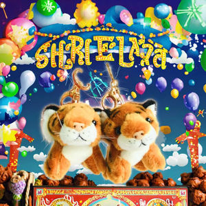 Mini <span class=keywords><strong>tigre</strong></span> porte-clés jouet simulé réaliste en peluche Animal couette 10 cm tissu porte-clés avec remplissage en coton PP - Product Image 3