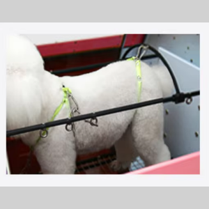 เครื่องเป่าขนสัตว์เลี้ยงทำจากสแตนเลสและเหล็กเครื่องเป่าขนสัตว์เลี้ยงเครื่องเป่าลมสุนัขสัตว์ขนาดเล็กพร้อมแหล่งจ่ายไฟแบตเตอรี่ - Product Image 5