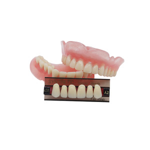Dientes de Resina Acrílica Sintética Anteriores Superiores de Dos Capas con Certificación CE/ISO en Múltiples Tonos - Product Image 4