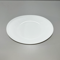 Assiette en porcelaine brillante à bord relevé en forme de lingot pour les plats de pâtes, de curry et de riz à la maison