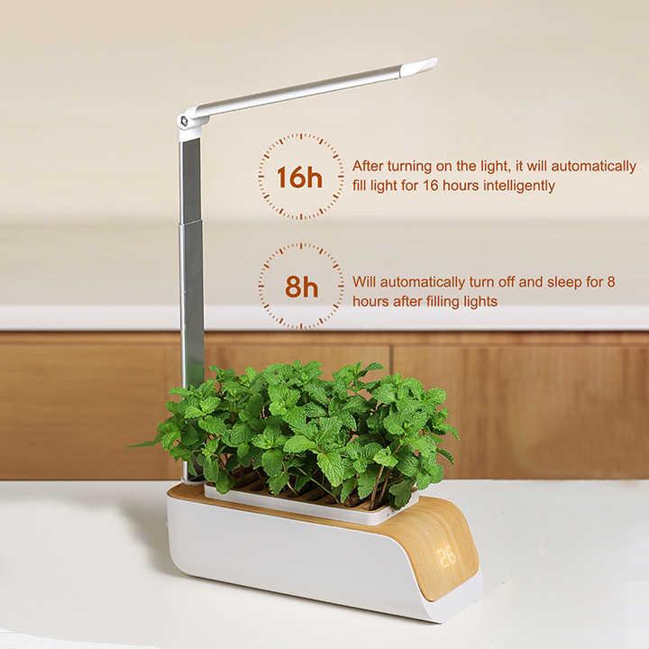 水耕栽培 水耕栽培キット, DIY バルコニー水耕栽培システム取り外し可能な