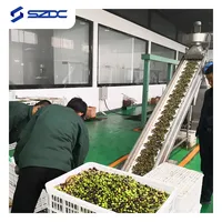 Nouvelle Machine Automatique d'Extraction d'Huile d'Olive Extra Vierge 8T/H, Centrifugeuse Décanter Triphasée, Moteur, Roulement pour Matières Premières Végétales
