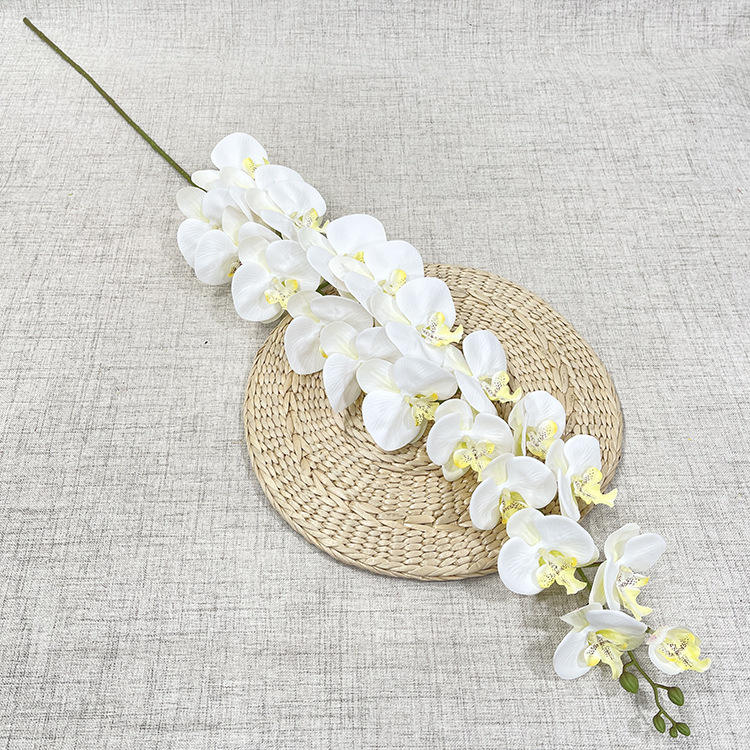 #2 Orchidée 15 Têtes