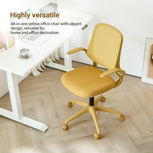 <span class=keywords><strong>Chaise</strong></span> <span class=keywords><strong>de</strong></span> <span class=keywords><strong>bureau</strong></span> pivotante <span class=keywords><strong>ergonomique</strong></span> LN18XS moderne à dossier moyen, <span class=keywords><strong>petite</strong></span> <span class=keywords><strong>taille</strong></span>, inclinable, réglable en hauteur, avec accoudoirs pliables et dossier en maille, disponible en plusieurs couleurs - Product Image 5