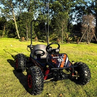 EGS 2025 1000W 48V 20Ah Kart Électrique Buggy pour Enfants et Adultes Frein à Disque Transmission par Arbre Suspension à Double Triangles Pneus Tout-Terrain