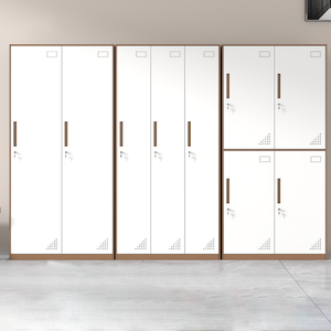 Tùy chỉnh thiết kế hiện đại Tủ sắt tủ khóa Tủ lưu trữ và tủ chìa khóa cho nơi làm việc phòng tập thể dục và trường học ứng dụng - Product Image 5