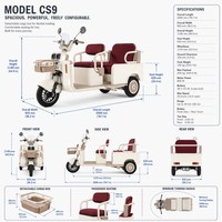 Vélo électrique rétro à design ouvert, sans balais, double siège, panier avant, phare LED, frein à disque hydraulique, batterie au plomb-acide 3 vitesses