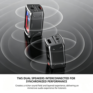 Professionele Gitaar Ingang RCA Matrix Bass Treble Aanpassing TWS Draadloze LED Display Actieve PA Karaoke Speaker Party Stage - Product Image 5