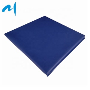 <span class=keywords><strong>Tapis</strong></span> d'exercice d'aérobic <span class=keywords><strong>de</strong></span> <span class=keywords><strong>gym</strong></span> bleu rembourré en mousse épaisse haute densité, <span class=keywords><strong>tapis</strong></span> <span class=keywords><strong>de</strong></span> tumbling durable pour l'entraînement <span class=keywords><strong>de</strong></span> gymnastique - Product Image 2