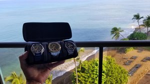Estuche de viaje de protección triple resistente, tres relojes de pulsera, compañero de viaje fácil para <span class=keywords><strong>Apple</strong></span> Watches, <span class=keywords><strong>almacenamiento</strong></span> con cremallera - Product Image 6