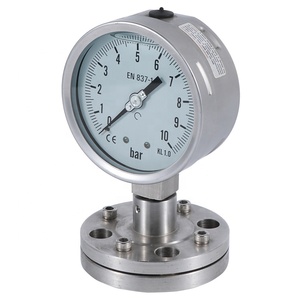 Acid Resistant <strong>Pressure</strong> <strong>Gauge</strong> Diaphragm Type <strong>Price</strong> - Product Image 4