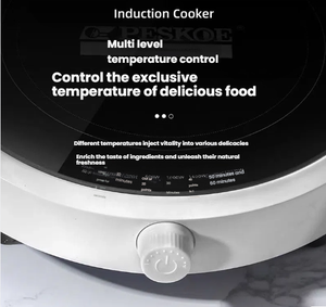 Mini plaque chauffante électrique domestique, chauffage par résistance, contrôle mécanique par minuterie, économie d'énergie, installation encastrée, revêtement antiadhésif - Product Image 5