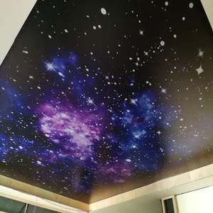 直販の人気商品 3D星空カスタムデザイン装飾広告ライトボックス PVCフィルム スカイストレッチ天井（KTV用） - Product Image 2