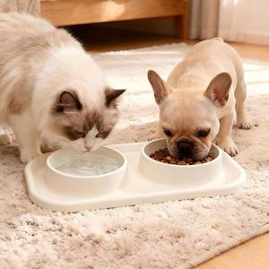 Wholesale Custom Logo Non-Slip Travel Dog & <b>Cat</b> Lick Bowl Silicone 2-in-1 Waterproof Feeding Mat Dual Bowl <b>Feeder</b> - Product Image 3