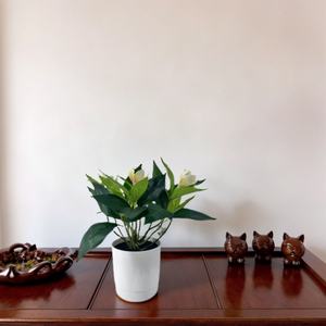 Hojas <span class=keywords><strong>de</strong></span> orquídeas <span class=keywords><strong>de</strong></span> tacto real, bonsái <span class=keywords><strong>de</strong></span> plástico Artificial, planta en maceta, decoración ecológica para el hogar con maceta - Product Image 1