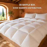 Parure de lit de luxe Xueruisha en coton respirant et frais pour l'été, avec couette ultralégère en duvet d'oie blanc 95% écologique