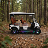 Voiturette de golf électrique à prix abordable avec support pour sac de golf pour clubs de golf – Vente en gros