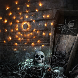 Cadılar bayramı led parti ışıkları örümcek Net ışık örümcek Web dekorasyon led ışıkları hayalet festivali tema - Product Image 6