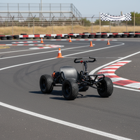 Nouveau kart à pédales à essence pour adultes, 4 temps, châssis en acier, tout-terrain, un passager, pour la plage, le drift et la course en extérieur