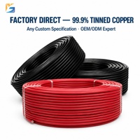 4mm² 6mm² Solarkabel PV DC-Kabel Doppelt Isoliertes Solarpanel-Verlängerungskabel für Solaranlagen