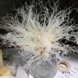 Herbe à plumes Stipa Tenuis séchée et préservée, couleur faiblement saturée, belle fleur naturelle, faite à la main, taille personnalisée, longue durée - Product Image 6