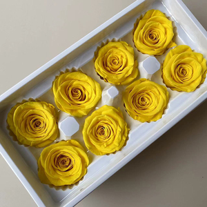 Rosas Eternas de Grado B en Color <span class=keywords><strong>Blanco</strong></span> y Rosa Claro, Caja de 8 Piezas, Ideal para Armar Ramos de Flores, Regalar y Decorar Eventos - Product Image 6