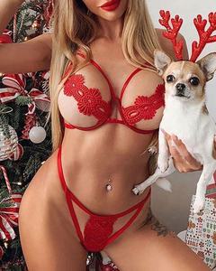 Nieuwe trend sexy rode transparante lingerie, erotische dameskant, Valentijnsdag dameslingerie leveranciers - Product Image 2