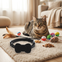 Localisateur d'animaux de compagnie étanche IP67 compatible iOS avec contrôle par mini-app, pour chats et chiens, système de suivi anti-perte Bluetooth