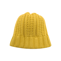 Bonnet de luxe de créateur à pompons, nouveau design, coupe ample, en acrylique, tricoté, protecteur des cheveux, chaud, pour femme, personnalisé, transfrontalier