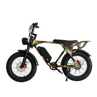 Vélo électrique de Tianjin exporté vers l'Europe, l'Amérique, le Japon et la Corée du Sud, 20 pouces, pour la neige, avec moteur arrière sans balais 48V
