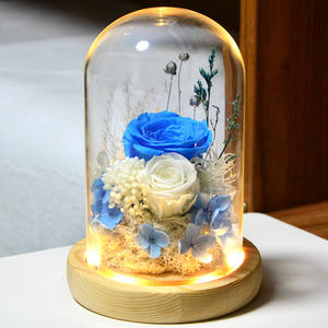 TC 2024 vente en gros préservé éternel pour toujours Rose préservé véritable fleur de Rose dans un dôme en verre pour les cadeaux de fête des mères de la Saint-Valentin - Product Image 6
