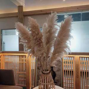 Hierba de Pampas Seca Natural, <span class=keywords><strong>Cortaderia</strong></span> Selloana Grande y Esponjosa, para Decoración de Bodas, San Valentín, Navidad y Hogar - Product Image 6