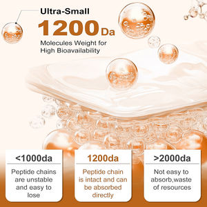 Mezcla de colágeno múltiple de alta calidad, probióticos, prebióticos y enzimas que promueven la salud de la piel y la síntesis de colágeno en cápsulas blandas. - Product Image 6