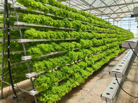 Système de culture hydroponique en serre avec tubes NFT, tuyaux en PVC plastique, canal NFT pour la culture de légumes