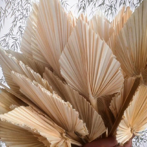 Precio de Fábrica, Abanico Grande de Hojas de Palma Secas Tropicales, Hojas de Palma Naturales Secas para el Hogar, Estilo Boho, Día de la Madre, Graduación - Product Image 3