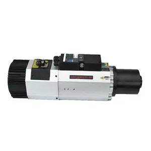 CNC LY 9kw Automatic Tool Change 24000r Atc Spindle Motor Iso30 Milling machine Spindle