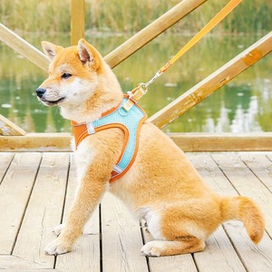 Aksesori hewan peliharaan kalung anjing dapat diatur Harness hewan peliharaan Set anjing kucing Harness keluar dengan tali untuk anjing berjalan - Product Image 1