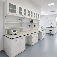 Banc de laboratoire mural tout acier sur mesure avec étagères à réactifs, armoires à portes vitrées et plan de travail résistant aux produits chimiques pour les laboratoires de recherche