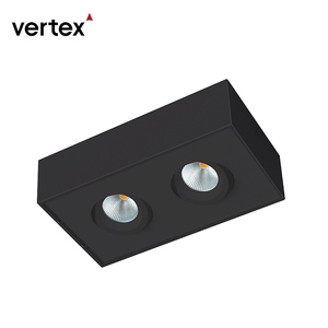 16W doble cabeza cuadrada abajo luz <span class=keywords><strong>Rectangular</strong></span> ajustable doble cabeza <span class=keywords><strong>LED</strong></span> foco <span class=keywords><strong>superficie</strong></span> montada <span class=keywords><strong>Downlight</strong></span> - Product Image 1