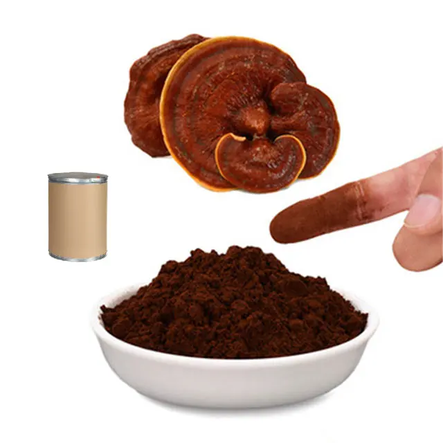 USDA Approved Organic Dried Ganoderma Lucidum Extract Reishi Extract