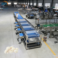 Hoge-efficiëntie machine voor het sorteren van fruit en groenten voor voedselverwerkingsbedrijven