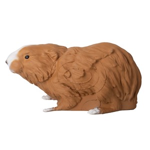 Cible de tir 3D en mousse PU pour <span class=keywords><strong>cochon</strong></span> d'Inde, entraînement de tir en extérieur pour Cavia Procellus, pour arc classique et arc à poulies - Product Image 5