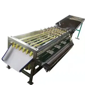 Kaju fıstığı sıralama makinesi areca fındık ayırma makinesi fındık ayırma makinesi
