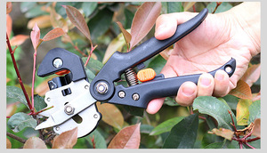 Diy grado orticolo cesoie potatura piantina innesto macchina e strumenti <span class=keywords><strong>per</strong></span> la frutta albero innesto OEM personalizzabile - Product Image 5