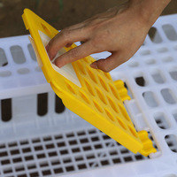 Fournitures Nid en plastique Transport Pliable Volaille Pigeon Paniers Cages