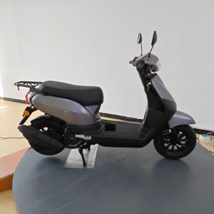 Véhicule tout-terrain haute performance pour adultes avec moteur sans balais 80 km/h, double suspension, longue autonomie, <span class=keywords><strong>moto</strong></span> à essence rapide - Product Image 3
